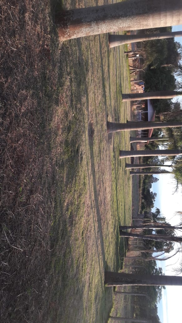 foto do anúncio Chacára 2030 m2  próximo a Condomínios Horizontas - Ótima Localização.