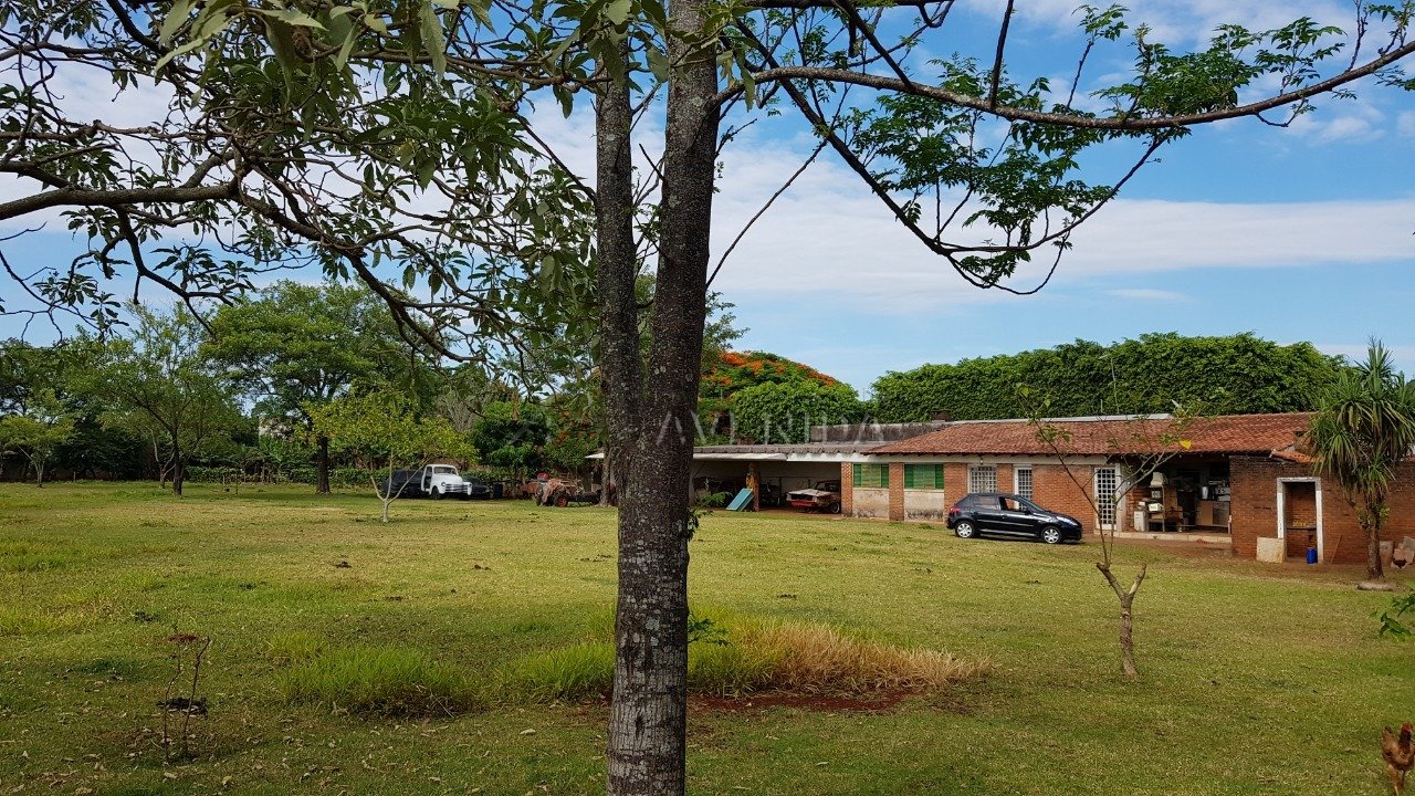 foto do anúncio Chácara com 5.000 m² à Venda no Cafezal 1  (11560)