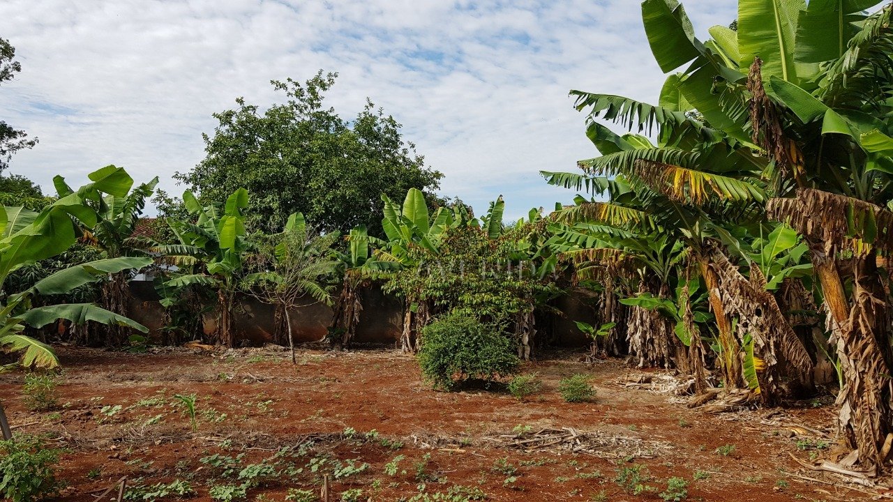 foto do anúncio Chácara com 5.000 m² à Venda no Cafezal 1  (11560)
