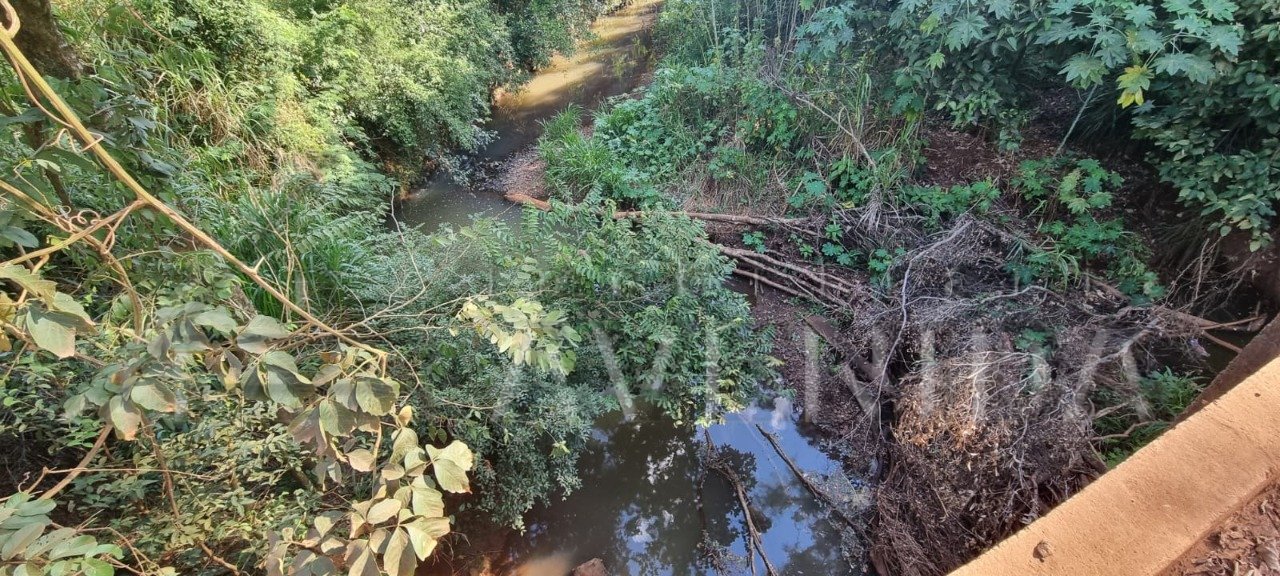 foto do anúncio Área Rural com 4.399 m² à Venda – Região da Usina 3 Bocas, Londrina (12260)