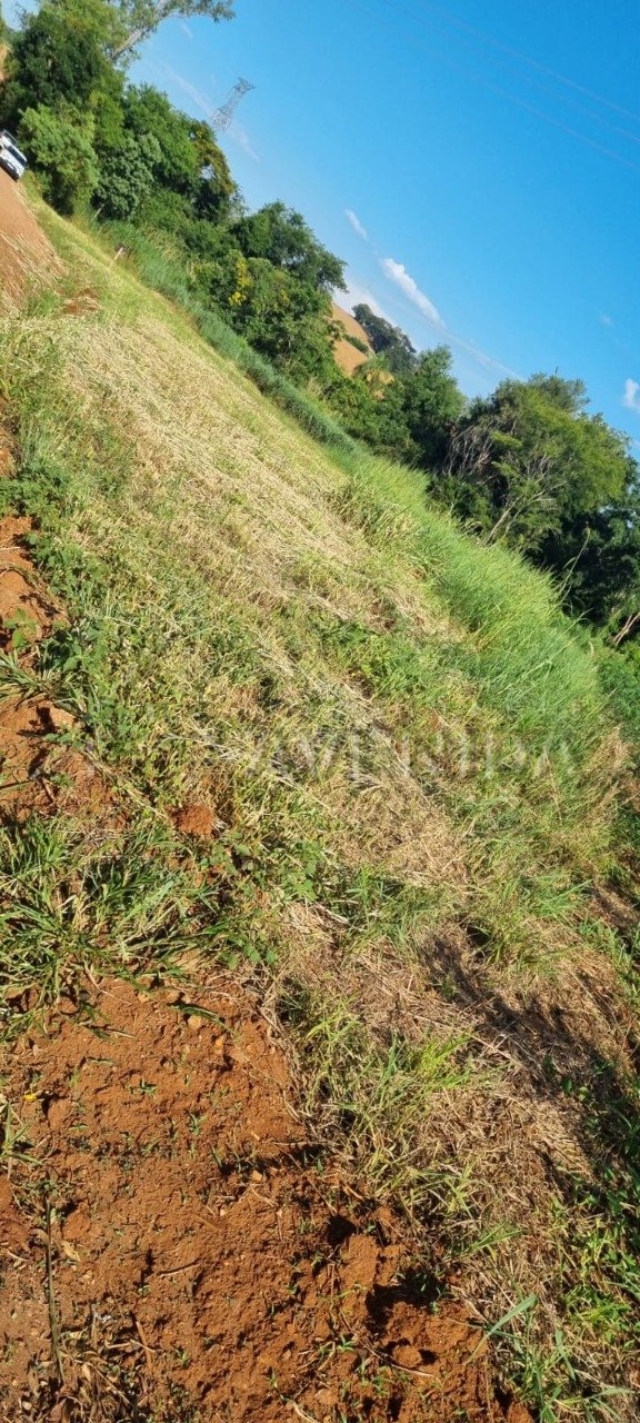 foto do anúncio Área Rural com 4.399 m² à Venda – Região da Usina 3 Bocas, Londrina (12260)