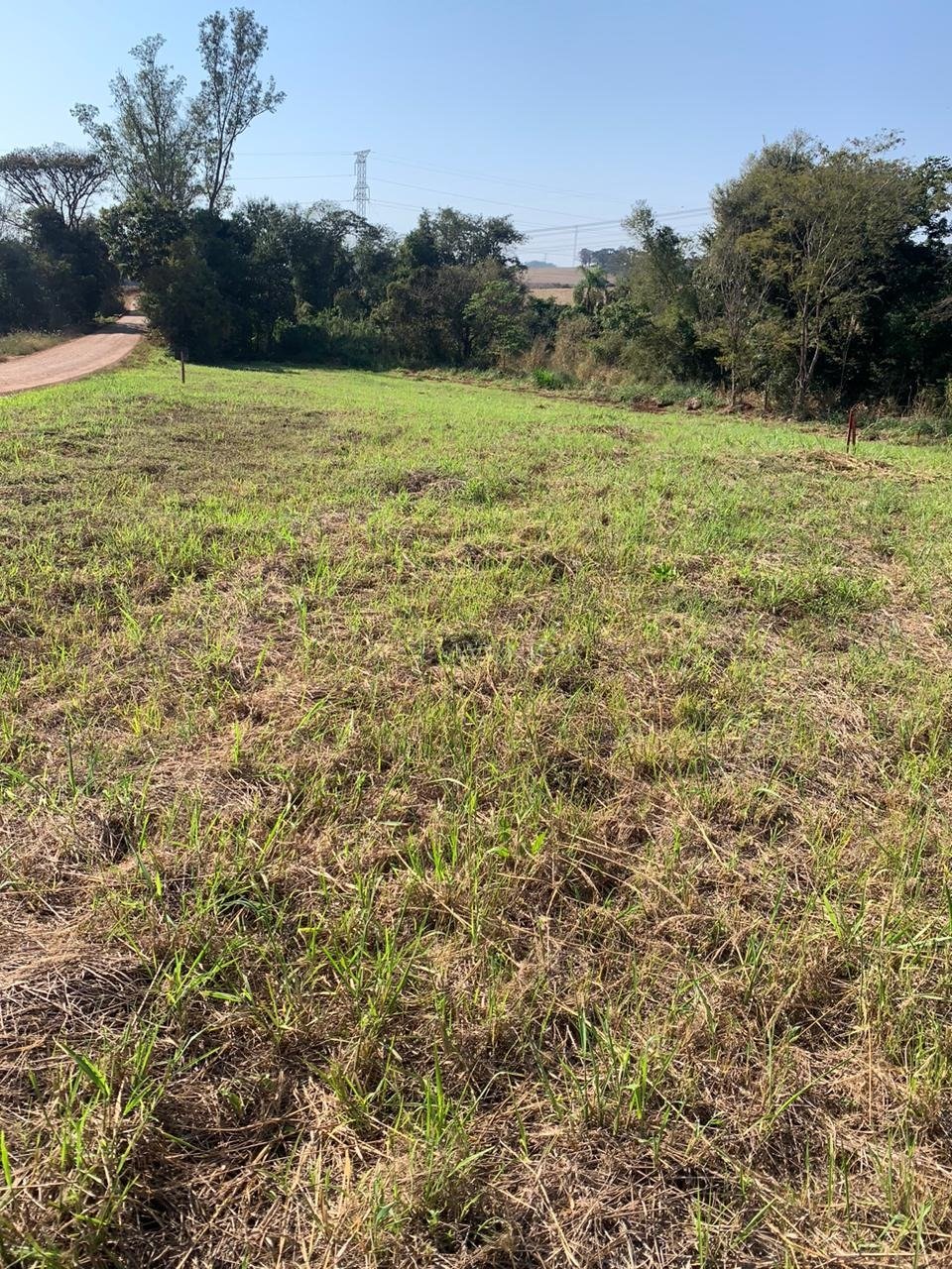 foto do anúncio Área Rural com 4.399 m² à Venda – Região da Usina 3 Bocas, Londrina (12260)