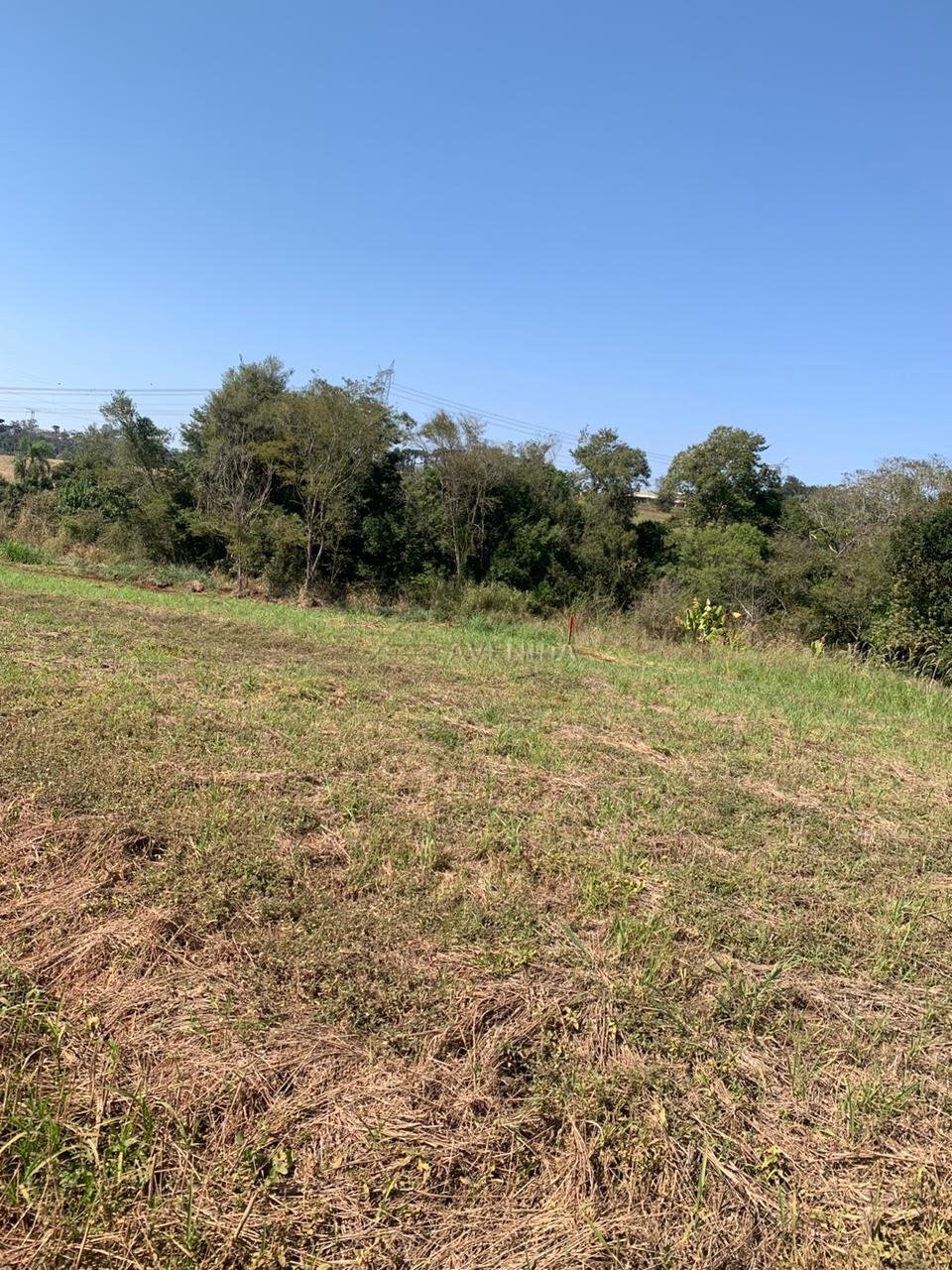 foto do anúncio Área Rural com 4.399 m² à Venda – Região da Usina 3 Bocas, Londrina (12260)