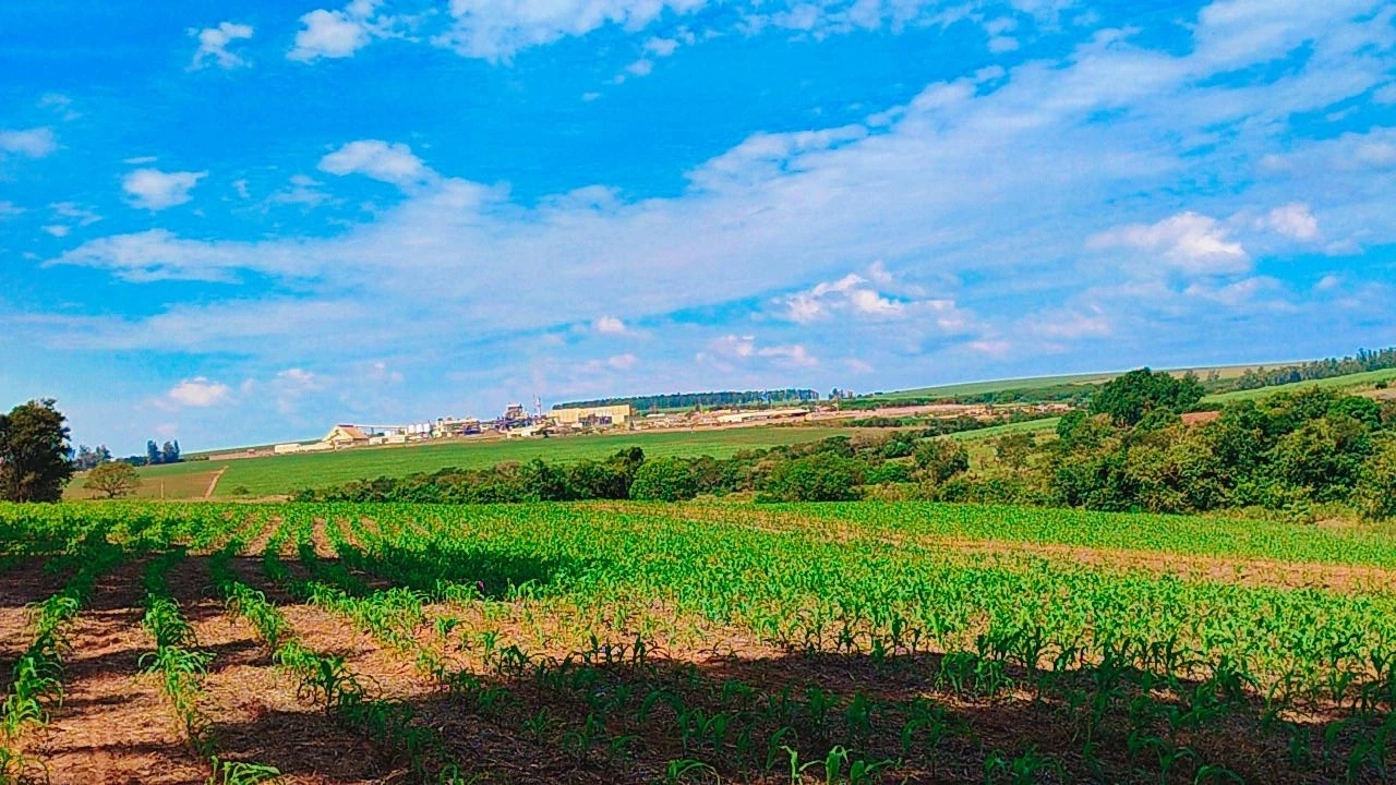 foto do anúncio Terrenos rurais em Florestópolis/Pr