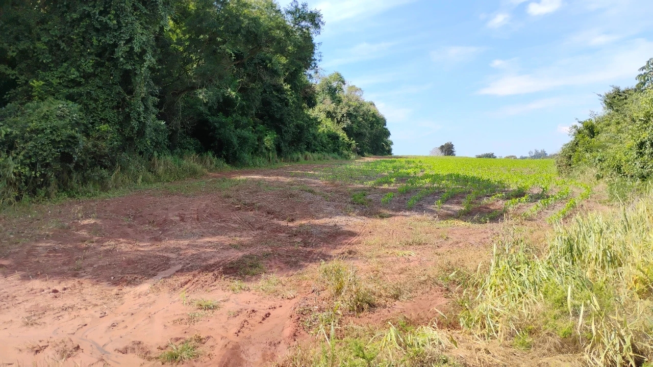 foto do anúncio Terrenos rurais em Florestópolis/Pr